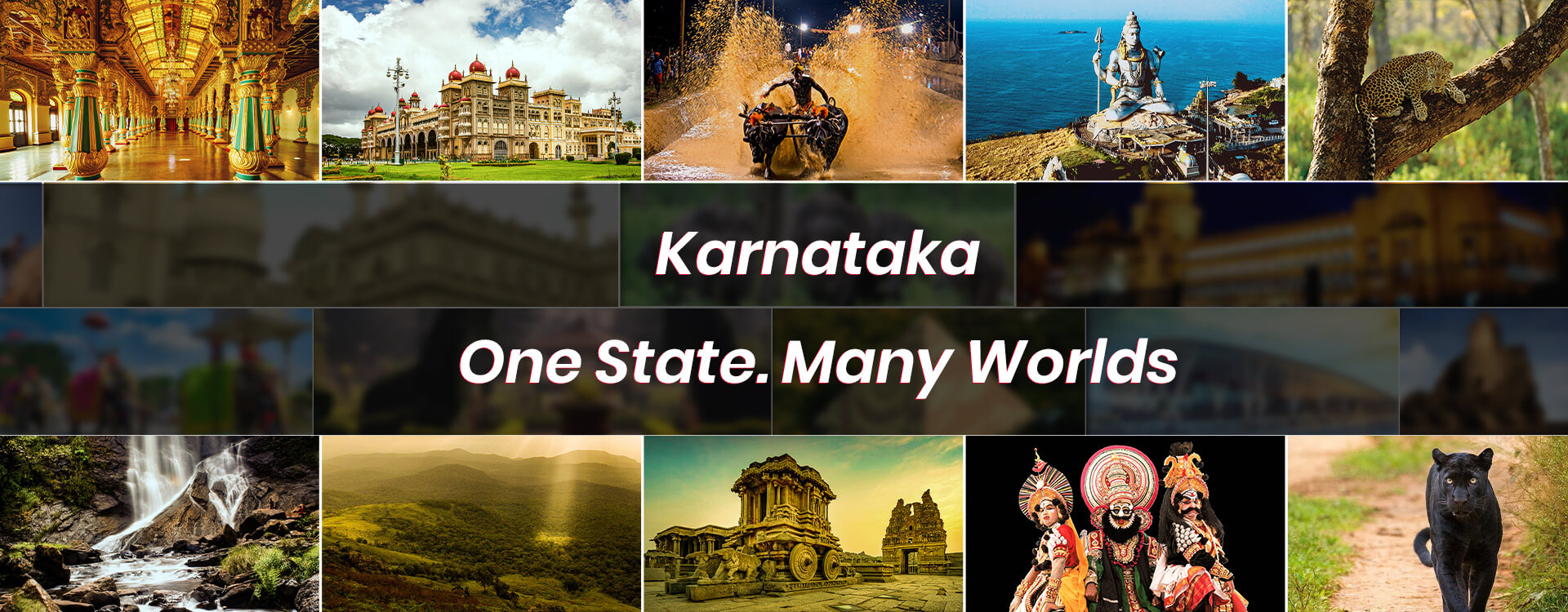 one-state-many-world